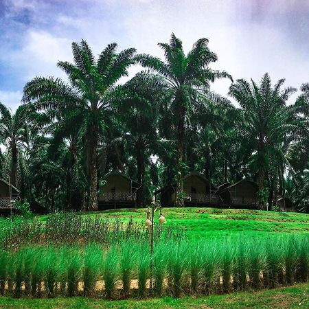 Khaosok Boutique Hideaway Hotel Phanom Buitenkant foto