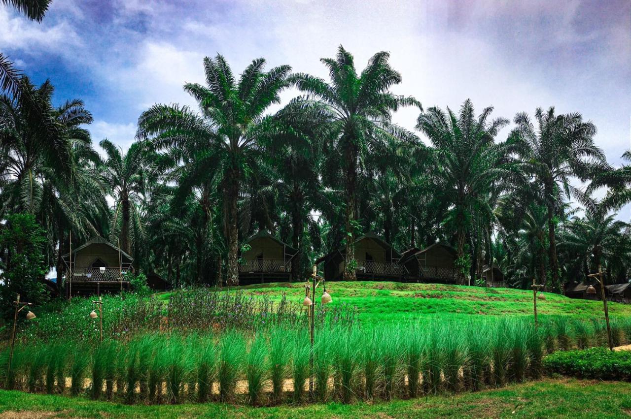 Khaosok Boutique Hideaway Hotel Phanom Buitenkant foto